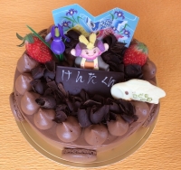 元気侍のチョコレートケーキ４号～７号